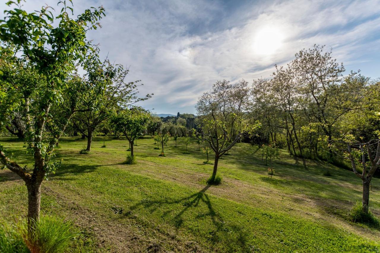 Podere Sant'Antonio Fauglia Zewnętrze zdjęcie