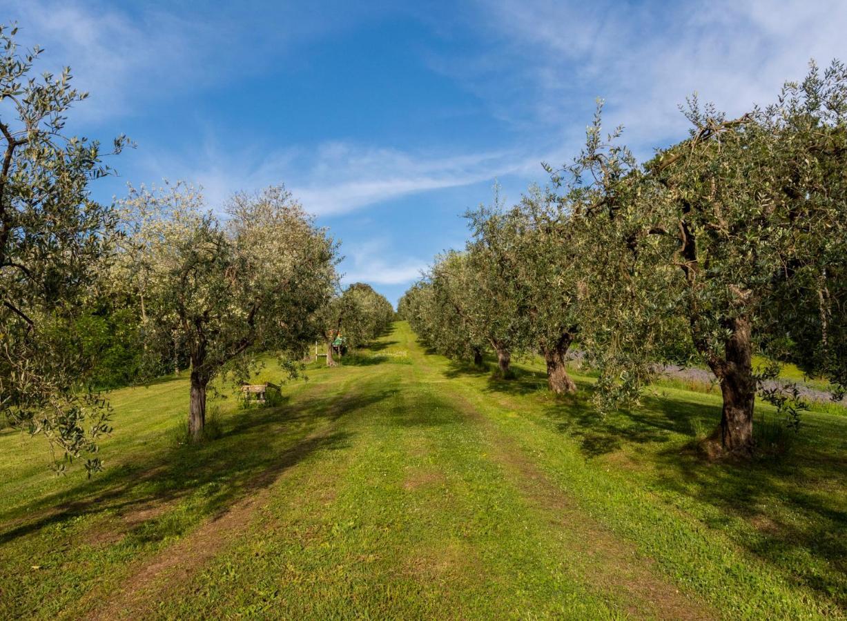 Podere Sant'Antonio Fauglia Zewnętrze zdjęcie