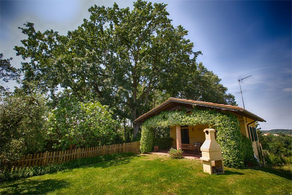 Podere Sant'Antonio Fauglia Zewnętrze zdjęcie