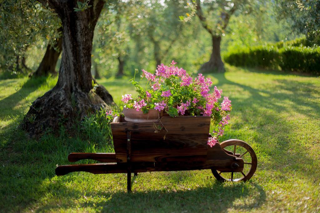 Podere Sant'Antonio Fauglia Zewnętrze zdjęcie