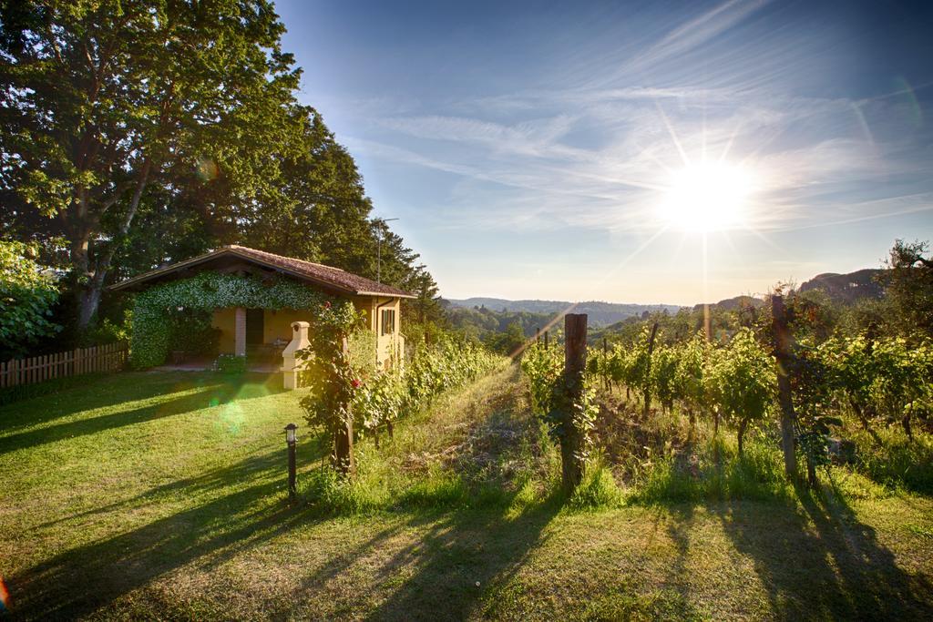 Podere Sant'Antonio Fauglia Zewnętrze zdjęcie