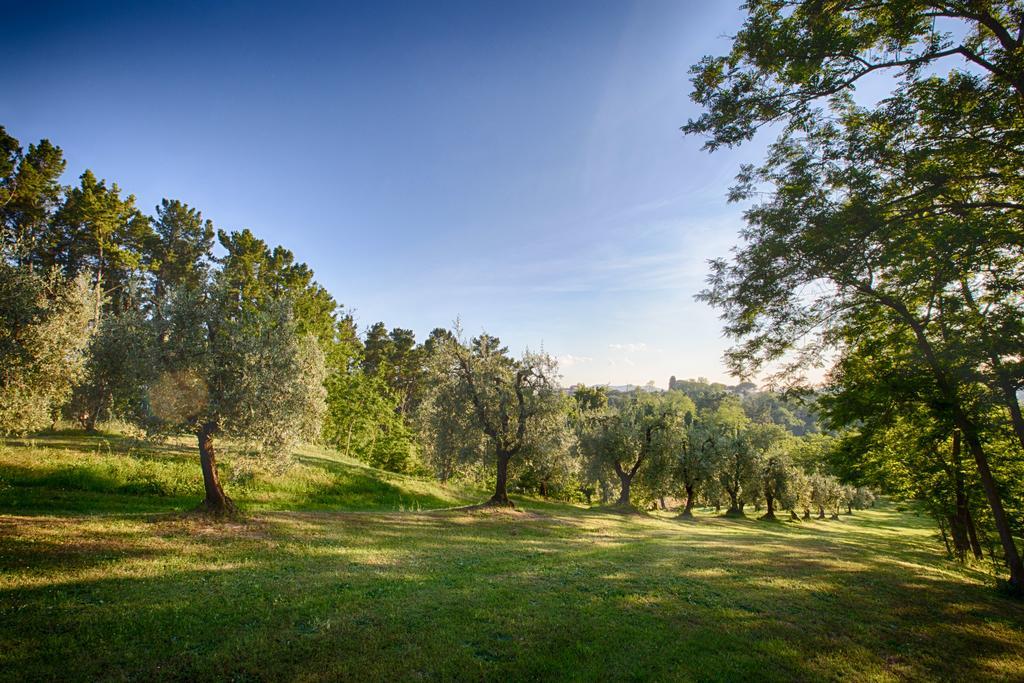 Podere Sant'Antonio Fauglia Zewnętrze zdjęcie