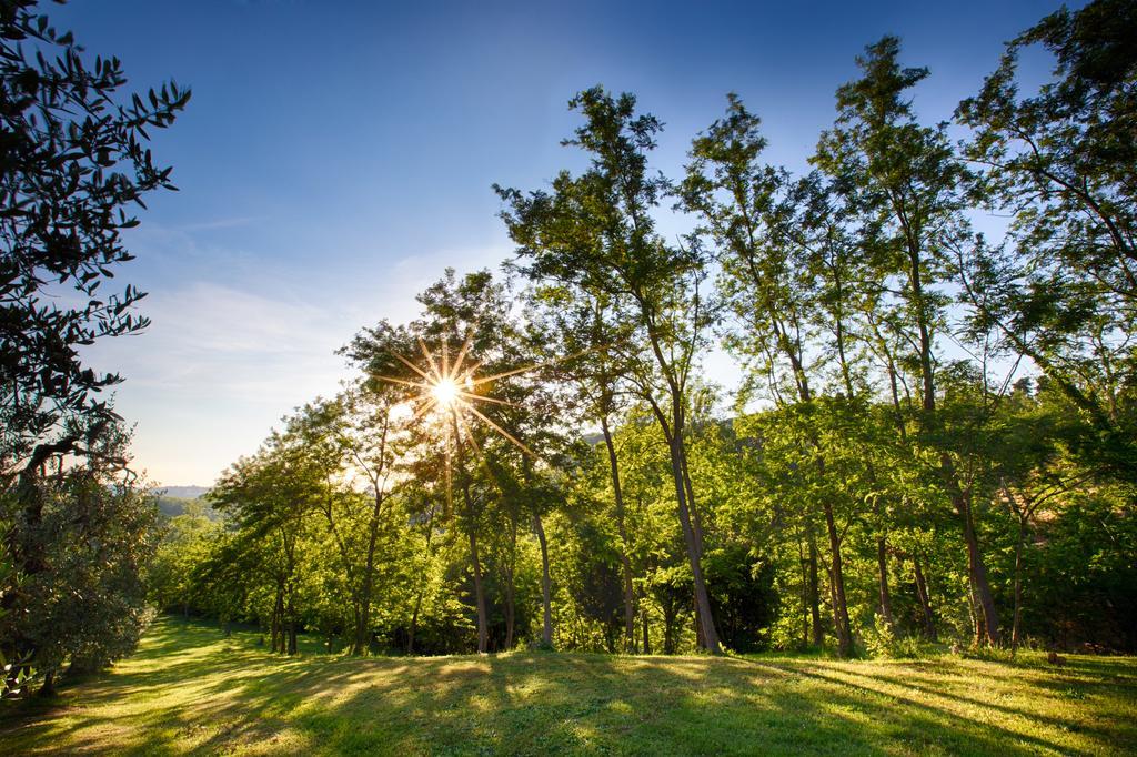 Podere Sant'Antonio Fauglia Zewnętrze zdjęcie
